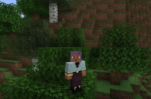 【Minecraft服务器】不会开服？不会联机？一篇文章教你如何开设服务器！